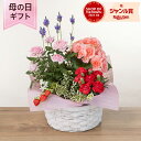母の日 カーネーション 寄せ植え 鉢植え 花 「マムズ・バスケット」 バラ ラベンダー ギフト プレゼント フラワーバスケット 5種類 庭 玄関 屋外 フラワー...