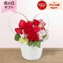 母の日 プリザーブドフラワー 花 「サンクスハート」 クリアケース ギフト プレゼント アレンジメント ストロベリー ハート 赤 かわいい 玄関 窓辺 リビング...