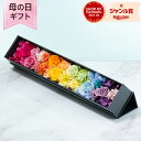 母の日 プリザーブドフラワー 花 「プリズム〜虹色のギフト〜」 ギフト プレゼント 豪華 贅沢 レインボー グラデーション 玄関 窓辺 リビング テーブル 室内...
