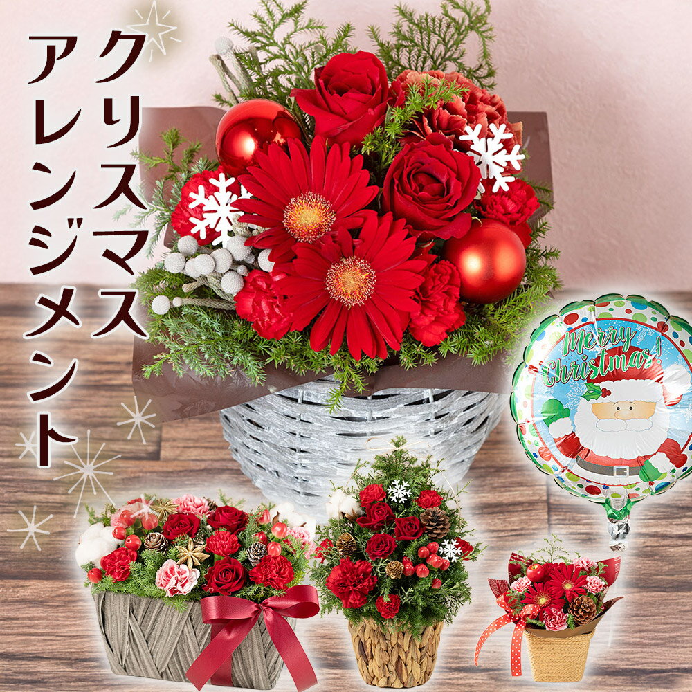 クリスマス アレンジメント ギフト プレゼント 選べる4種「トワイライト・ルージュ/Christmas Bloom Tr..