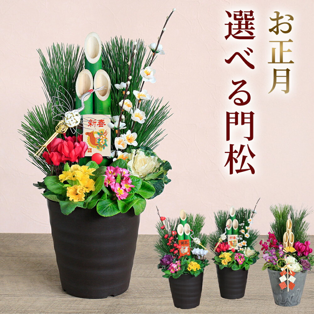 門松 花 寄せ植え 豪華 お正月 「モダン門松 1個＆2個 / スタイリッシュ門松1個」 お祝い 和風 フラワ..