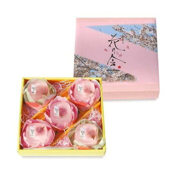 盆栽セット「つるや製菓都留屋桜プリン」