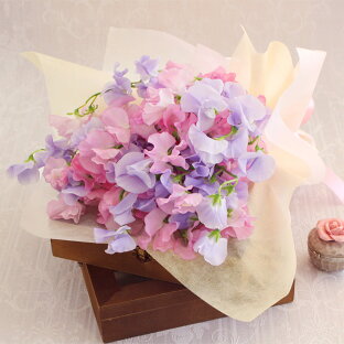 新築祝い フラワーギフト 花束のおすすめランキング 花束 エレガント スイートピーブーケ 生花 ブーケ フラワー ギフト 花 プレゼント お祝い 記念 贈り物 サプライズ 誕生日 結婚記念 開店祝い 送別会 歓送迎会 新築祝い 発表会 定年 退職 合格 進学 入学 卒業 新築祝い フラワーギフト 花束のおすすめランキング 花束 エレガント スイートピーブーケ 生花 ブーケ フラワー ギフト 花 プレゼント お祝い 記念 贈り物 サプライズ 誕生日 結婚記念 開店祝い 送別会 歓送迎会 新築祝い 発表会 定年 退職 合格 進学 入学 卒業