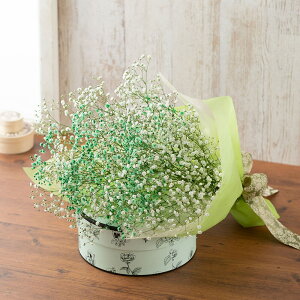 初夏の花 花束 Gypsophile・カスミ草 フラワー ギフト 花 プレゼント お祝い 記念 贈り物 サプライズ 誕生日 結婚記念 開店祝い 送別会 歓送迎会 新築祝い 発表会