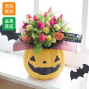 鉢植え 花 セロシア 秋の花 ギフト プレゼント 「ゆかいなジャックマン」 ハロウィーン 誕生日 パーティー 記念日 お祝い 感謝 お礼 カラフル かわいい 玄関 窓 庭 屋外 フラワー 鉢 鉢花 花鉢 秋の花 9月 10月 11月 季節 旬 送料無料 イイハナドットコム