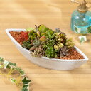 【多肉植物】寄せ植え グリーン・ボート 観葉植物 2way 誕生日 ギフト プレゼント 観葉 インテリア グリーン 鉢植え 誕生日プレゼント 記念日 結婚記念日...