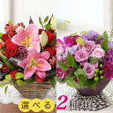 yAWgt[zuHappy anniversary Flower`AVXg/r[`vFIׂ  Mtg a LO j v[g җ Ê   Ď    j LO 蕨 N ސE  o   F 