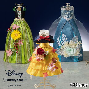 【ディズニーフラワーギフト】プリザーブドフラワー「disney プリンセスドレス シリーズ」 ディズニープリンセス 白雪姫 アナ エルサ 花 ギフト プレゼント 誕生日 結婚祝い 新築祝い ブリザーブド ブリザード プリザード 枯れない 長持ち お祝い 記念日 贈り物