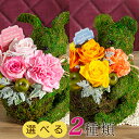 誕生日 花 アレンジメント 開店祝い 退職祝い プレゼント ギフト バラ「モスベア～Yellow Flowers～／モスラビット～Pink Flowers～」 お祝い かわいい インテリア 送料無料 おしゃれ かわいい