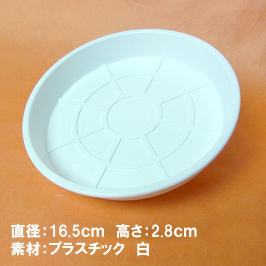 『受け皿中（直径16.5cm）』白プラスチック 受皿【植物と同梱可・単品購入不可】[g-ukezaram]