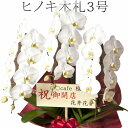 iファーマーらんぼ 花の鉢植え ≪単品購入不可/対象胡蝶蘭のみ同梱可≫ヒノキ木札 3号【立札】[r-kihuda01]