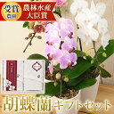 iファーマーらんぼ 花の鉢植え 胡蝶蘭 ミディ〜中輪 1本立ち ＋ 雑貨 ギフトセット 　選べる花色 ギフト お祝い お礼 お供え対応可 プレゼント プチギフト 誕生日 手土産 送料無料 [r-1fset]