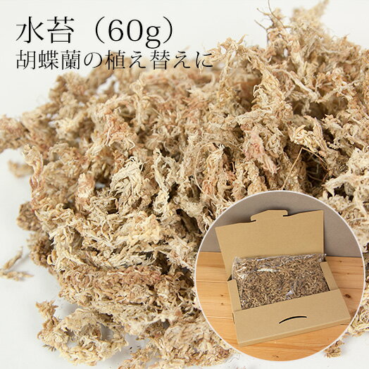 ＼楽天ランキング1位／ 【ゆうパケット送料無料】胡蝶蘭の植え替えに「水苔 50g入」植替え 植えかえ ...