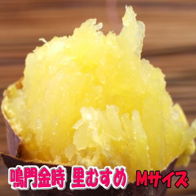 鳴門金時里むすめMサイズ5kgなると金時