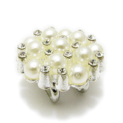 ��α�� �� �ѡ��� ���� �ե� �饤�󥹥ȡ��� ��ʪ���������꡼ �¾�ʪ ��� �Ӥɤ� �Ӿ��� JS10063