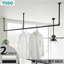 【送料無料】ハンギングバー 約278cm×60cm ブラック H-2 天井付けCタイプセット 日本製 リビング ダイニング 洗濯物 観葉植物【代引不可】