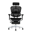 【送料無料】エルゴヒューマン プロ2 ハイタイプ オットマン(ブラックフレーム×ブラック)EHP2-LPL-DR-BF-BK【PU】新基盤 組立品【代引不可】