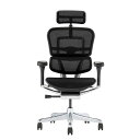 【送料無料】エルゴヒューマン プロ2 ハイタイプ (ブラックフレーム×ブラック)EHP2-HAM-DR-BF-BK【PU】新基盤 組立品【代引不可】