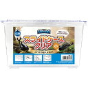 【送料無料】(まとめ)SAMURAI LIFESTYLE スライドケース クリア 小【×2セット】 (昆虫用品/飼育ケース)