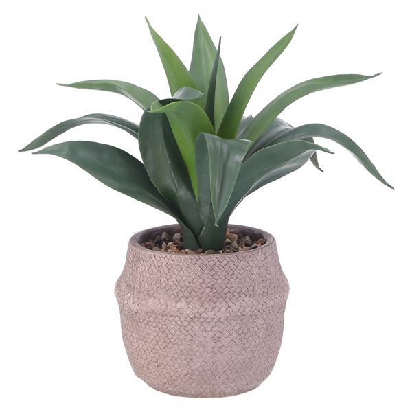 【送料無料】フェイクグリーン 観葉植物 約幅400mm アガベ セメントポット リビング ダイニング インテリア家具 引っ越し【代引不可】