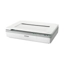 【送料無料】エプソン(EPSON) A3フラットベッドスキャナー/600dpi/A4片面4秒/1枚(300dpi) DS-50000