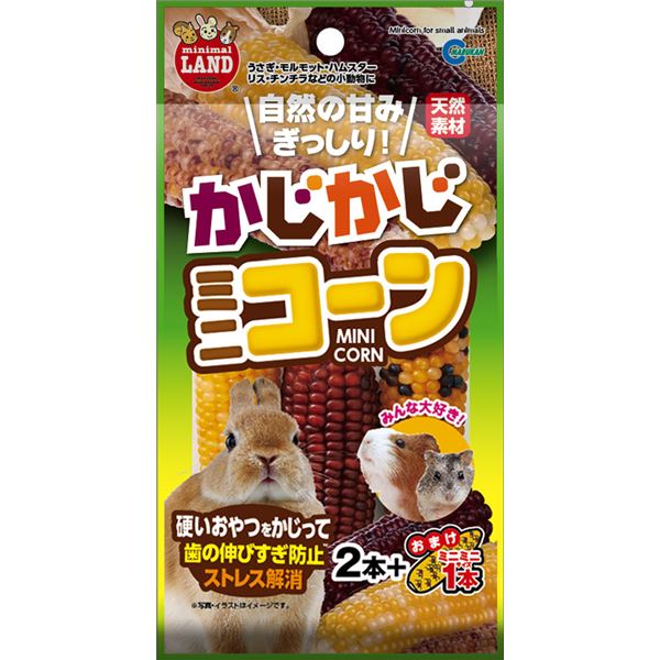 【送料無料】（まとめ）マルカン かじかじミニコーン 2本+おまけ1本 小動物用おやつ 【×5セット】 ホビー・エトセトラ ペット その他のペット レビュー投稿で次回使える2000円クーポン全員にプレゼント