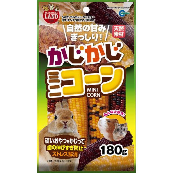 【送料無料】（まとめ）マルカン かじかじミニコーン 180g 小動物用おやつ 【×3セット】 ホビー・エトセトラ ペット その他のペット レビュー投稿で次回使える2000円クーポン全員にプレゼント