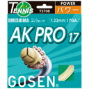 【送料無料】GOSEN（ゴーセン） ウミシマ AKプロ17 TS708NA スポーツ・レジャー スポーツ用品・スポーツウェア テニス用品 その他のテニス用品 レビュー投稿で次回使える2000円クーポン全員にプレゼント