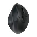 【送料無料】ナカバヤシ 無線静音5ボタン BlueLEDエルゴノミクスマウス ブラック MUS-RKF179NBK 1個