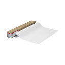 【送料無料】キヤノンフォト半光沢紙HG(薄口) LFM-SGH/A0/170 A0ロール 841mm×30m 4380B006 1本