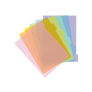 【送料無料】（まとめ）TANOSEE インデックス（PP） A4タテ 2穴 6色6山 2組入×20パ...