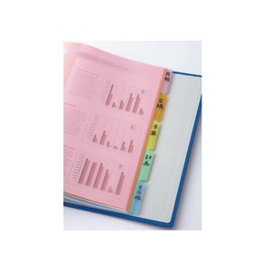 【送料無料】（まとめ）TANOSEE インデックス（PP） A4タテ 2穴 6色6山 2組入×20パ...