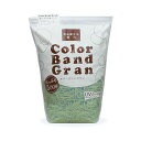 【送料無料】【まとめ】 共和 カラーバンドグラン500g GGK-500-LG ライトグリーン 【×2セット】