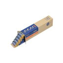 【送料無料】パナソニック アルカリ乾電池 EVOLTA 単3形 業務用パック LR6EJN/100S 1セット(100本:4本×25パック)