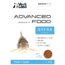 【送料無料】(まとめ)アドバンスフード・コリドラス 20g 熱帯魚用フード【×5セット】【代引不可】