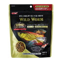 【送料無料】(まとめ)ワイルドワーム 70g 熱帯魚用フード 【×3セット】【代引不可】