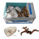 【送料無料】(まとめ) レイアウトパッケージ 青華石+ツイストウッド 【×2セット】 観賞魚用品