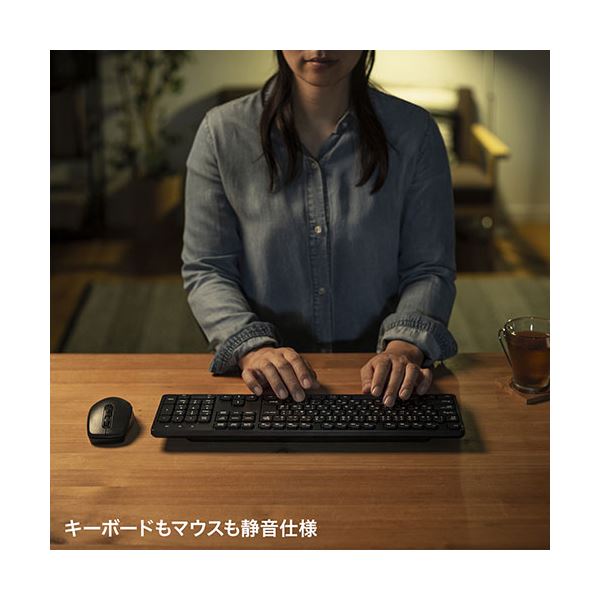 【新品/取寄品/代引不可】ワイヤレススリムキーボード SKB-WL31CBK