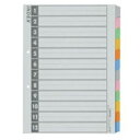 【送料無料】ジョインテックス インデックスA4S 6色12山 50組 D027J-12Y10