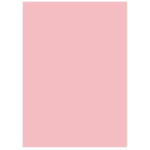 北越製紙 カラーペーパー/リサイクルコピー用紙 【A3 500枚×3冊】 日本製 ピンク