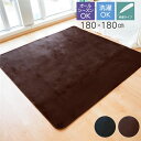 【送料無料】ラグマット約180×180cm 2帖 ブラウン 軽量 洗える ウォッシャブル オールシーズン シンプル ホットカーペット 床暖房対応【代引不可】(3)