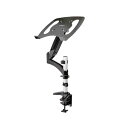 【送料無料】StarTech.com ノートパソコンアーム 最大34型 VESA規格対応 ARMUNONB1 1台