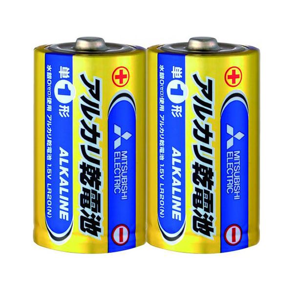 【送料無料】（まとめ） 三菱電機ライフネット アルカリ乾電池 単一 Nタイプ 2本パック 【×5セット】 家電 電池・充電池 レビュー投稿で次回使える2000円クーポン全員にプレゼント