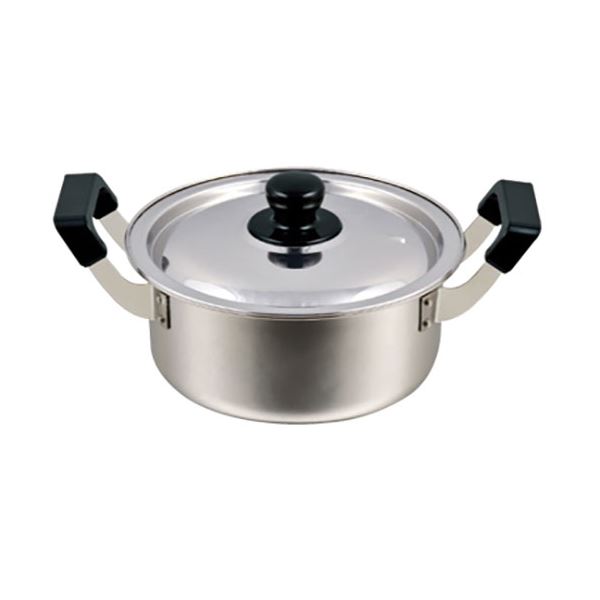 【送料無料】パール金属 NEWだんらん ステンレス製両手鍋20cm HB-1792