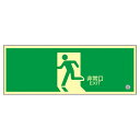 【送料無料】中輝度蓄光式避難口標識 非常口 蓄光FA-801【代引不可】