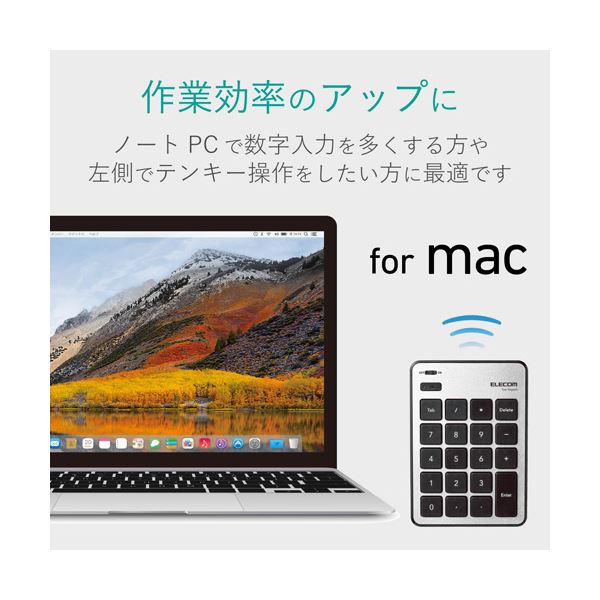 エレコム Bluetoothテンキーパッド／パンタグラフ／MacOS対応／薄型／シルバー TK-TBPM01SV AV・デジモノ パソコン・周辺機器 キーボード・テンキー レビュー投稿で次回使える2000円クーポン全員にプレゼント