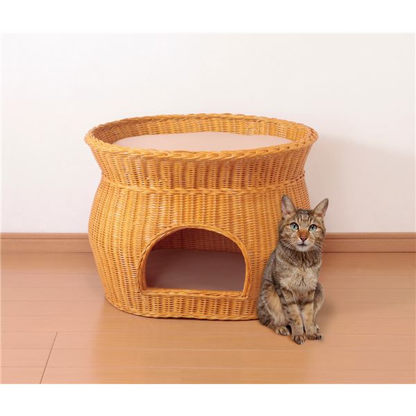 【送料無料】天然籐製キャットハウス/猫ハウス 【2段ベッドタイプ】 クッションシート付き カバーのみ手洗い可【代引不可】 ホビー・エトセトラ ペット 猫 その他の猫 レビュー投稿で次回使える2000円クーポン全員にプレゼント