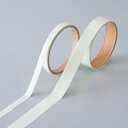 高輝度蓄光テープ FLA-1005 幅:10mm【代引不可】(4)