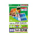 【送料無料】(まとめ)サンワサプライ カラーレーザー用フォト光沢紙・厚手 LBP-KAGNA4N【×5セット】