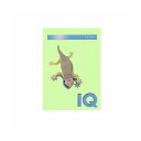 (まとめ) 伊東屋 バイオトップカラー A4判 250枚入 120g/m2 BT706 ミディアムグリーン 【×2セット】